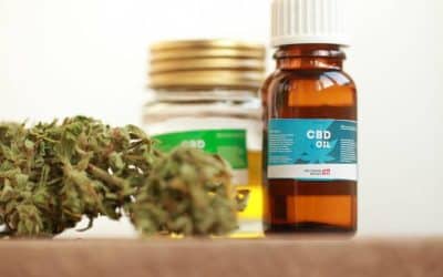 Cannabis for Migraine: Science, Effectiveness, and Risks