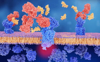CGRP Monoclonal Antibodies: A Breakthrough Option for Migraine Prevention