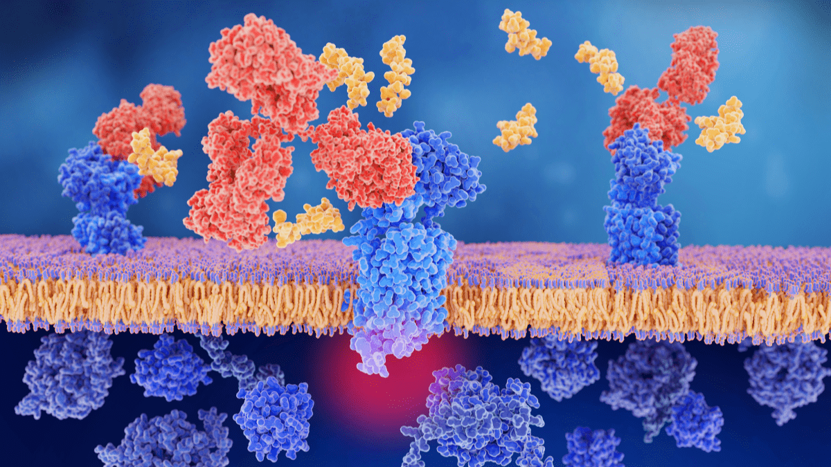 PDF Post 2 - CGRP Monoclonal Antibodies: