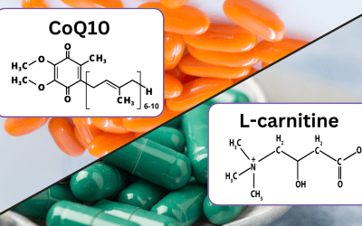 CoQ10 and L-carnitine for Migraine Prevention