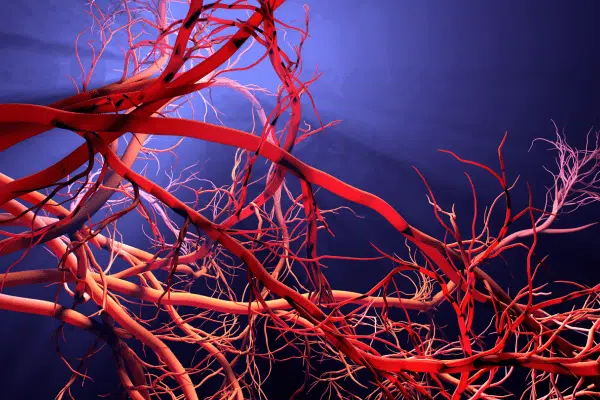 CGI image of veins