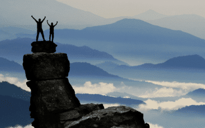 Self-management recommendations: using the seeds approach.