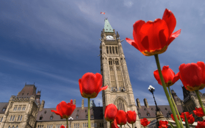 Canadian Laws Surrounding Disability Accommodations